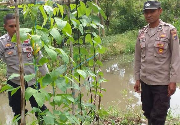 Dukung Ketahanan Pangan Daerah, Polres Sumba Timur Ajak Masyarakat Optimalkan Lahan Pekarangan