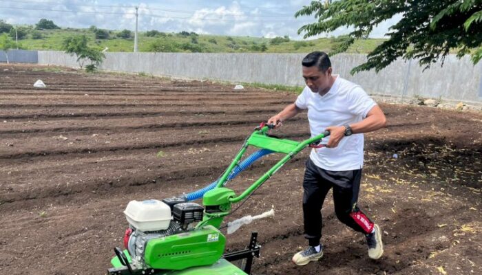 Dukung Ketahanan Pangan, Polres Sumba Timur Dorong Masyarakat Kelola Lahan Produktif