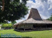 Pesona Kampung Adat Padadita, Salah Satu Kampung Tradisional tertua di Pulau Sumba