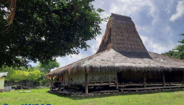 Pesona Kampung Adat Padadita, Salah Satu Kampung Tradisional tertua di Pulau Sumba