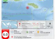 Gempa Bumi 6,0 Guncang Wanokaka, SBD, Warga Sebut Getarannya Mirip Ayunan dan Perahu Oleng
