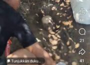 Temuan Tulang Tengkorak Manusia di Pulau Nusa, Sumba Timur, Polisi Lakukan Penyelidikan