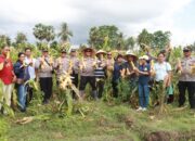 Panen Jagung di Bekas Lahan Tidur, Kapolres Sumba Timur Apresiasi Warga Mauliru