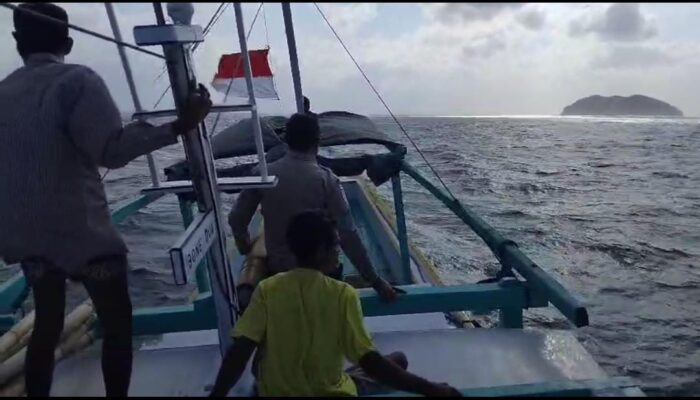 Nelayan Asal NTB Hilang Saat Mencari Cumi di Selatan Perairan Sumba, Tim SAR Masih Lakukan Pencarian