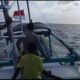Nelayan Asal NTB Hilang Saat Mencari Cumi di Selatan Perairan Sumba, Tim SAR Masih Lakukan Pencarian
