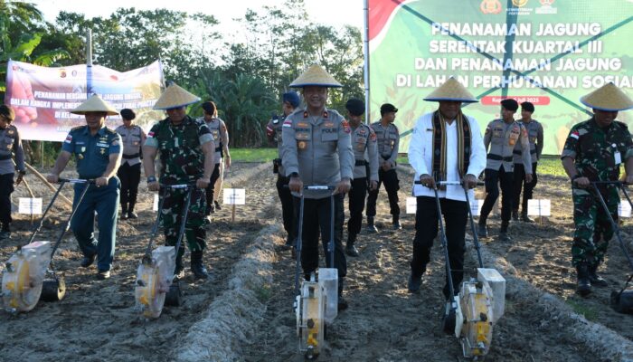 Polda NTT dan Polres Jajaran Tanam Jagung Serentak, Dukung Swasembada Pangan Nasional