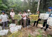 BBKSDA NTT Lepasliarkan Satwa Liar Dilindungi, 1.000 Ekor Burung Pleci/Kacamata Jawa dan 6 Anis Kembang